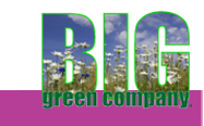 Big Green Rabbit Logo